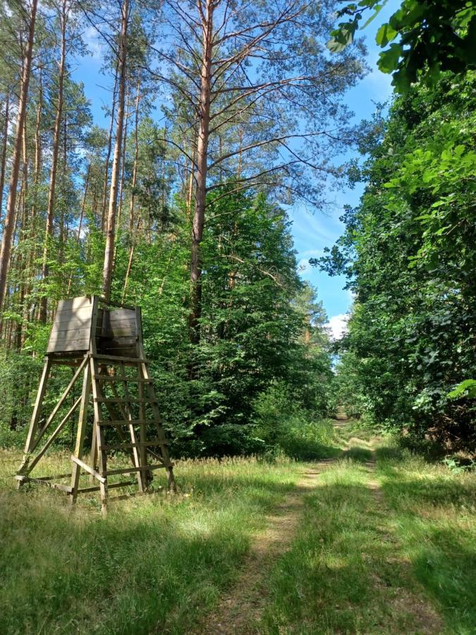 Waldblick Villa Cavertitz ภายนอก รูปภาพ