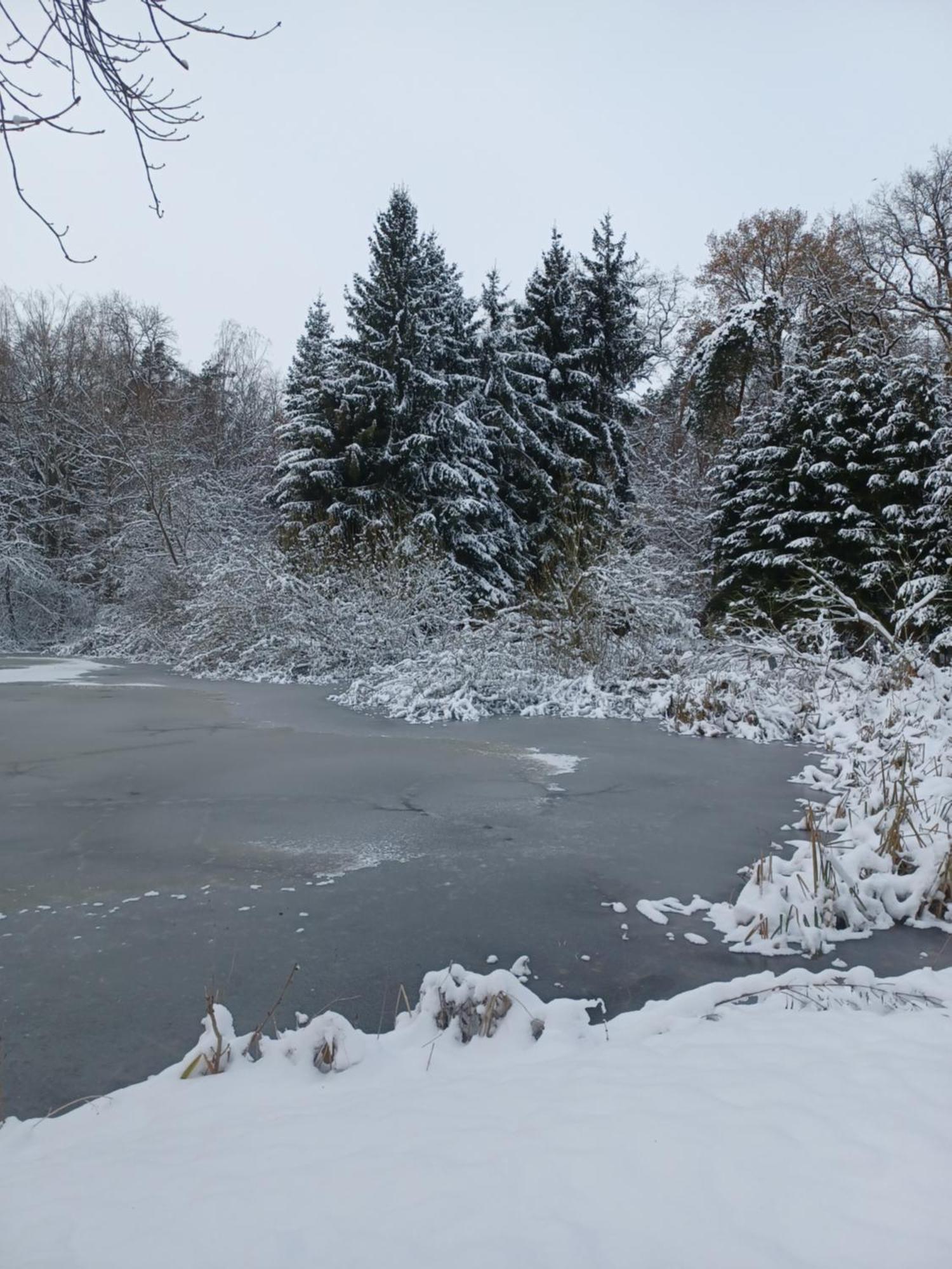 Waldblick Villa Cavertitz ภายนอก รูปภาพ